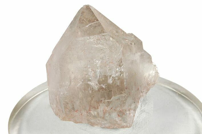 Glassy Rutilated Quartz Crystal - Brazil #244791